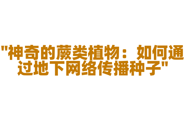 "神奇的蕨类植物：如何通过地下网络传播种子"